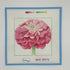Pink Zinnia