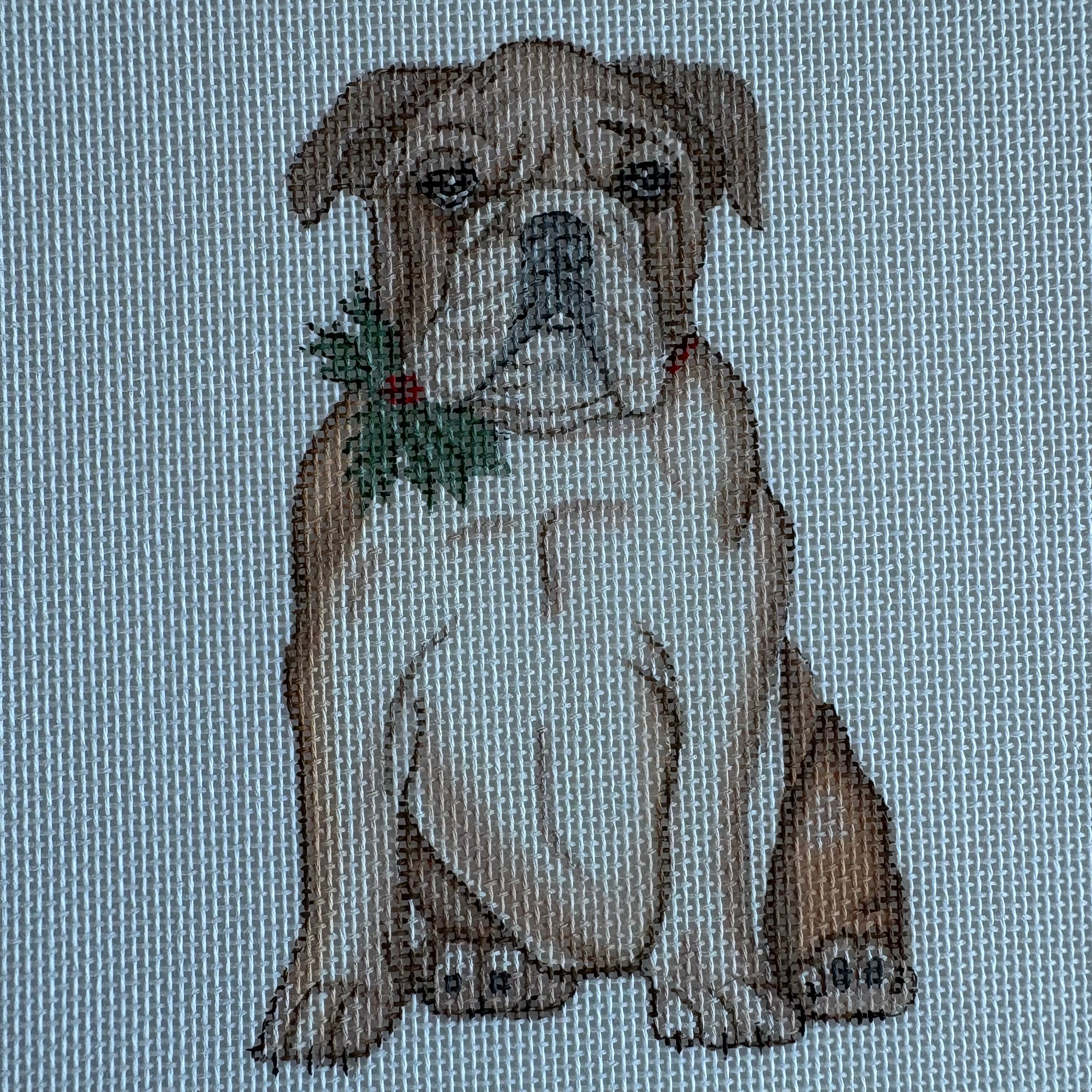 English Bulldog with Holly at Collar