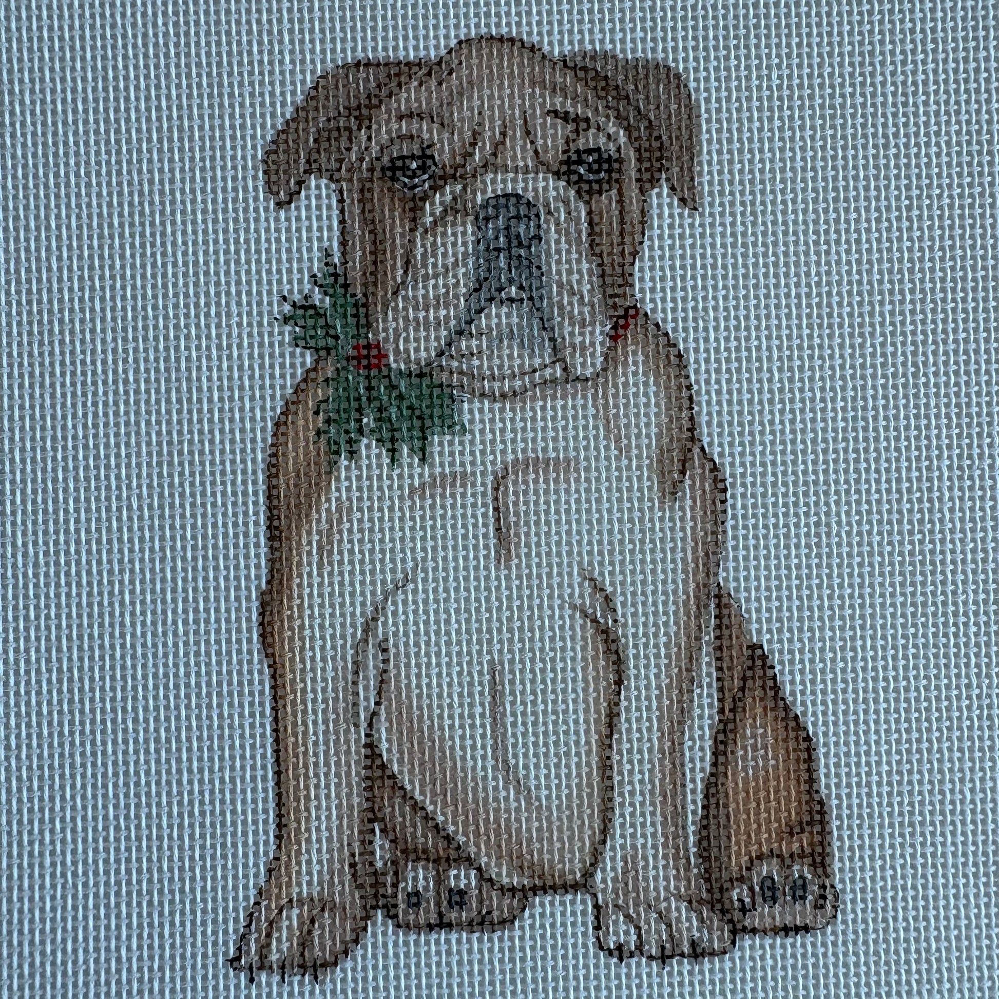English Bulldog with Holly at Collar