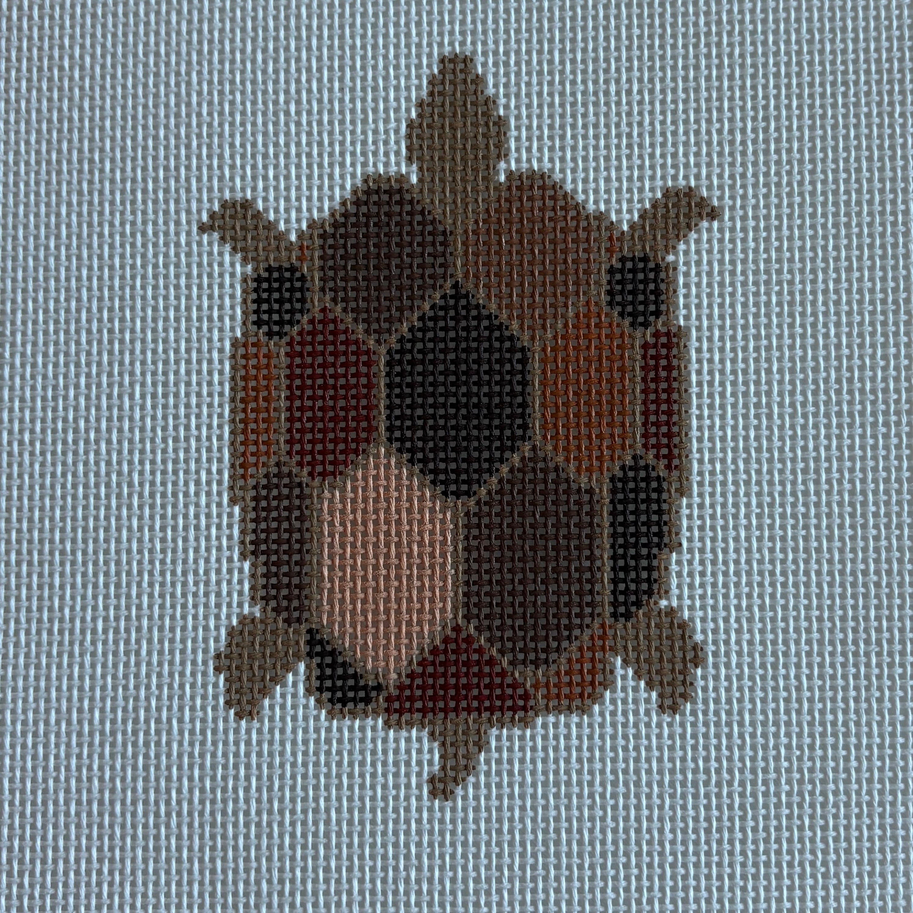 Brown Turtle
