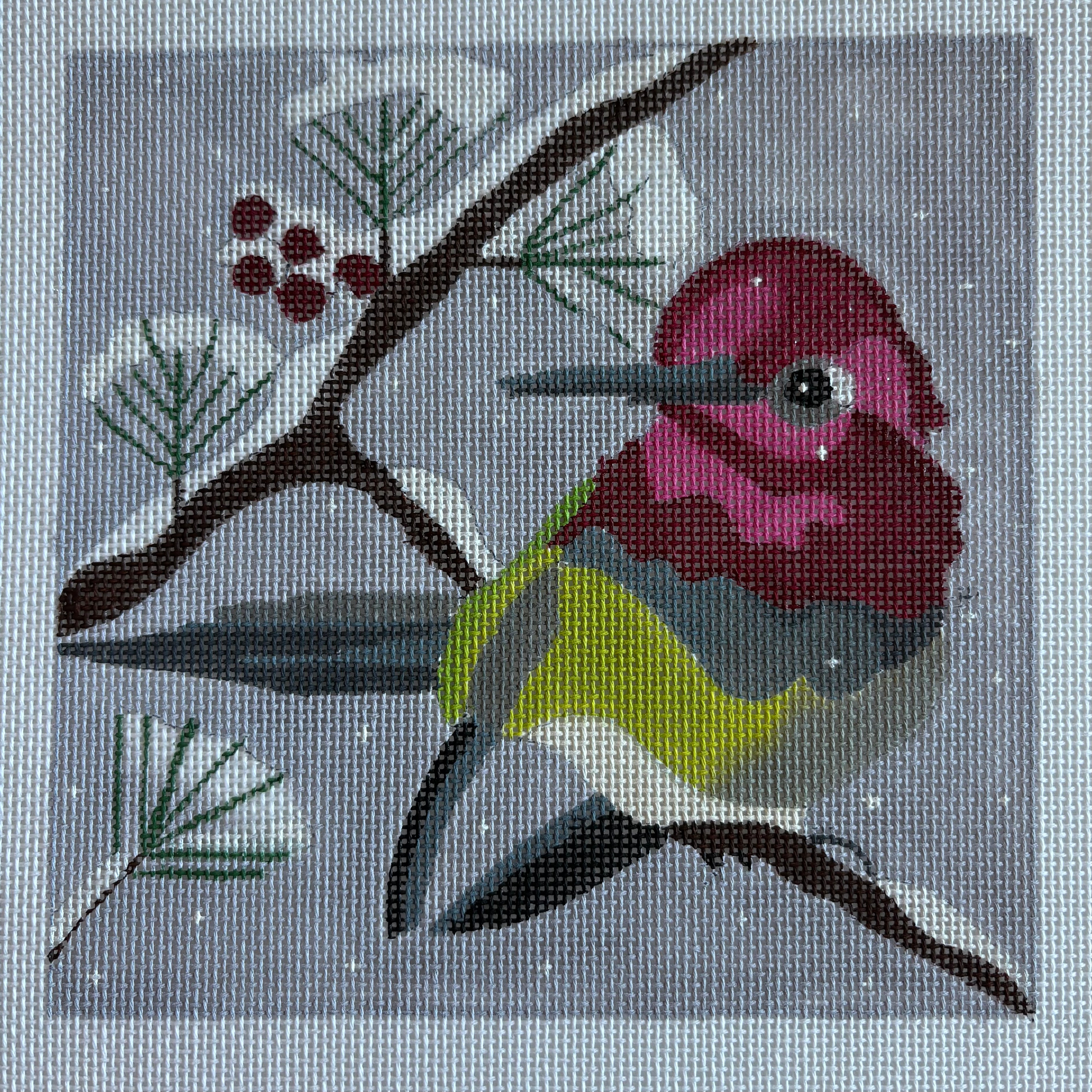 Winter Hummingbird