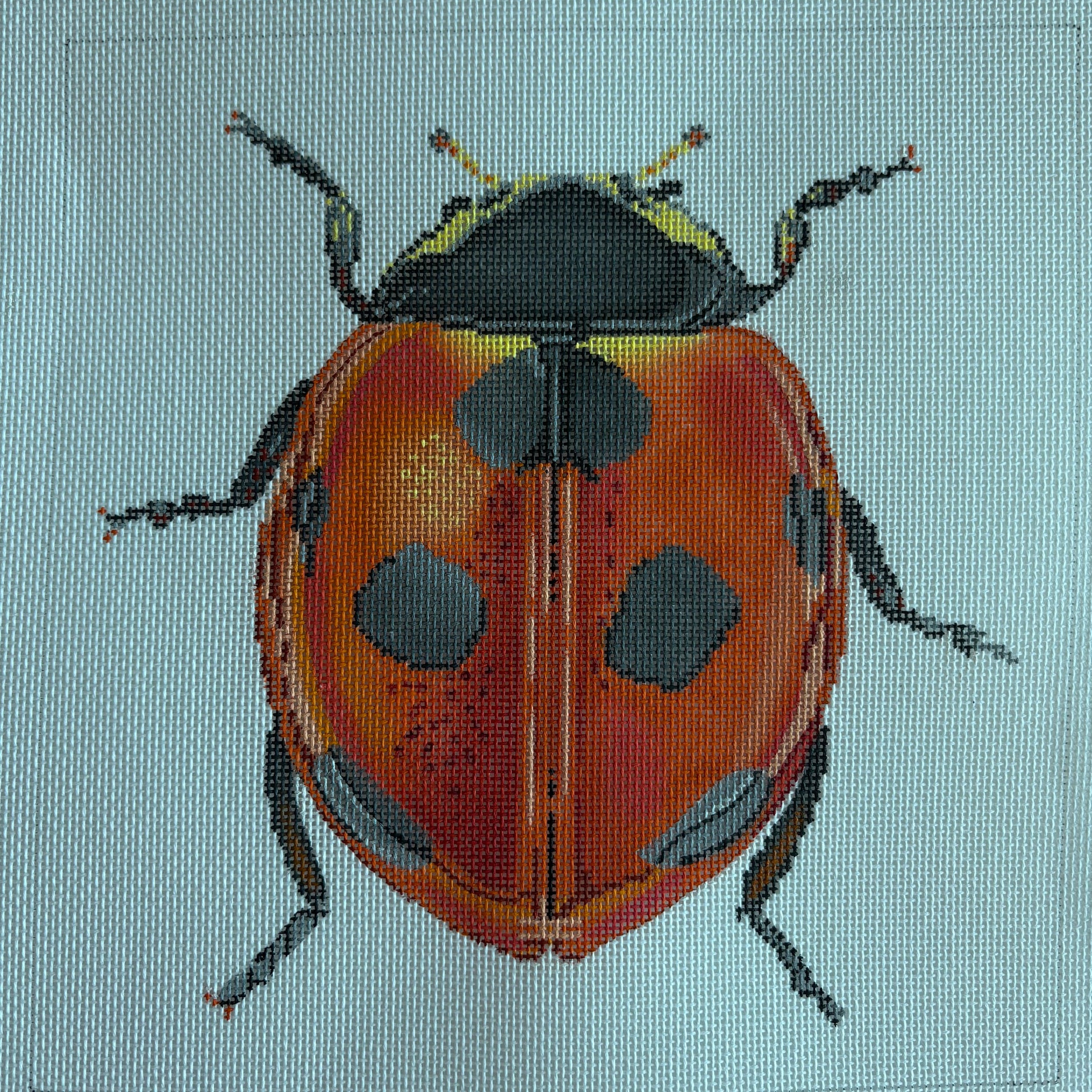 Little Bugs Lady Bug