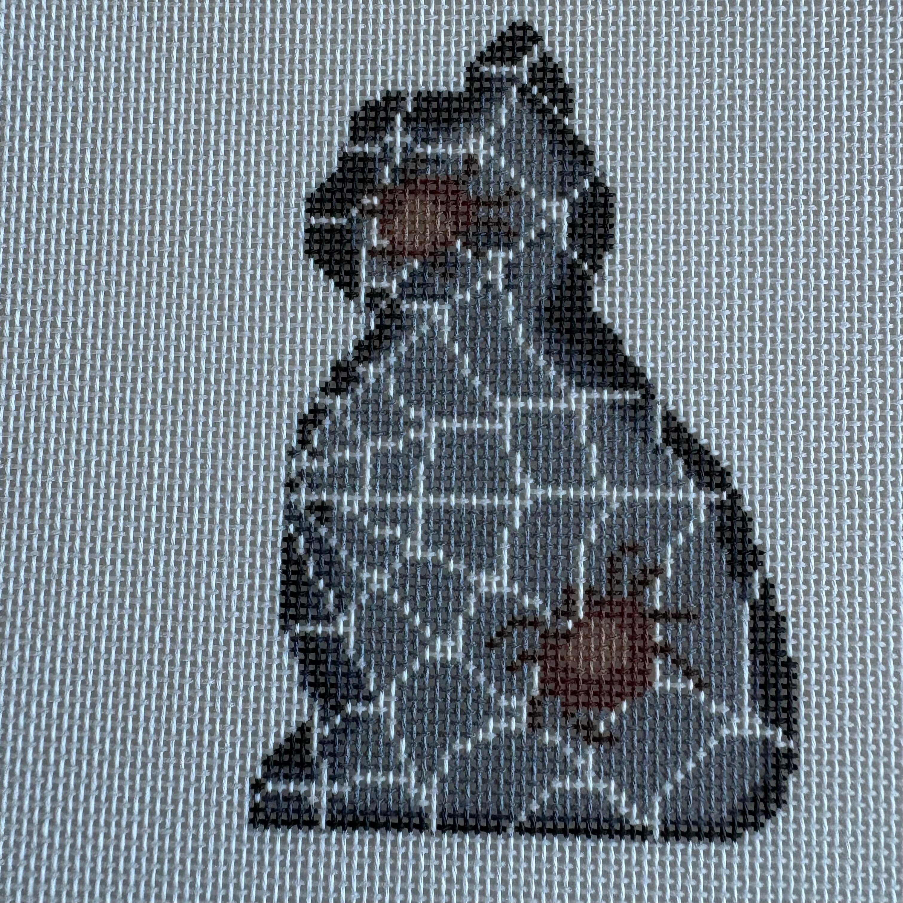 Spider Web Kitty Cat