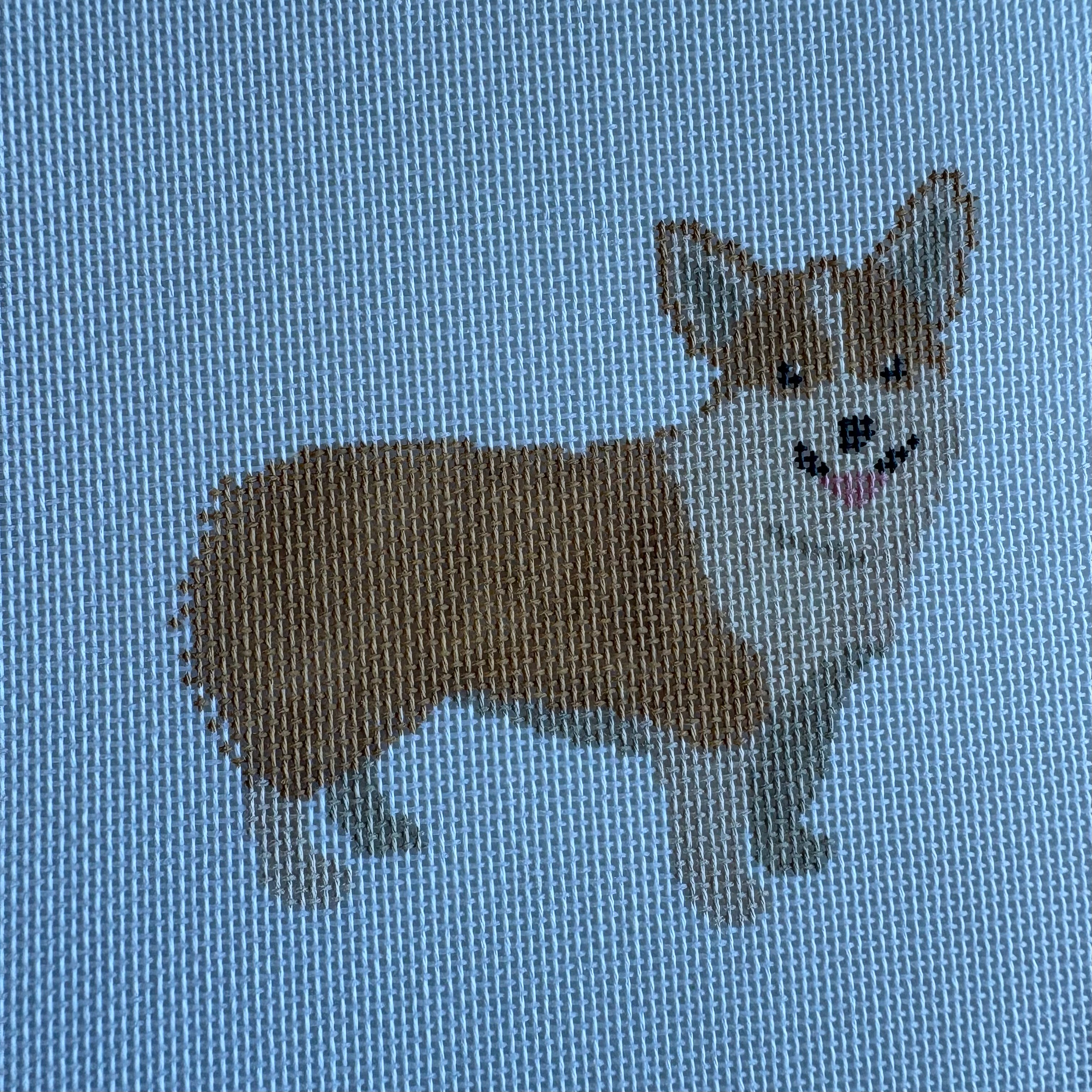 Corgi Tan