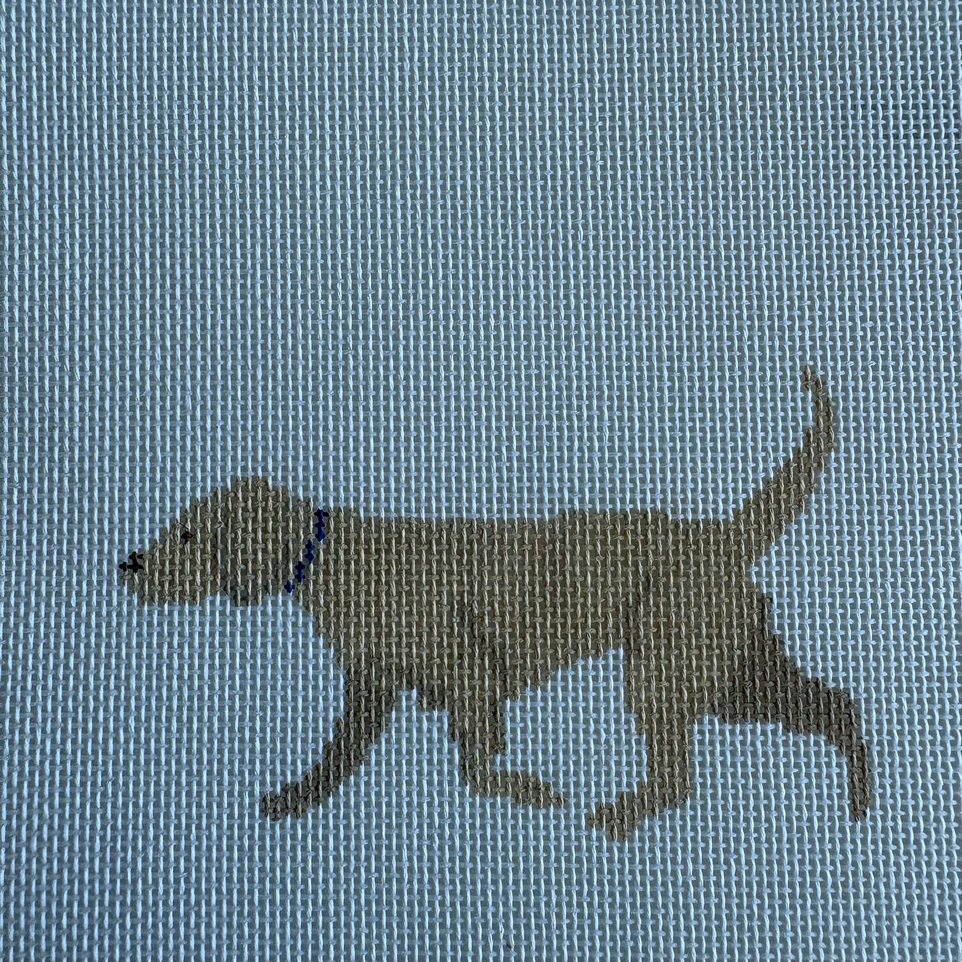 Yellow Lab