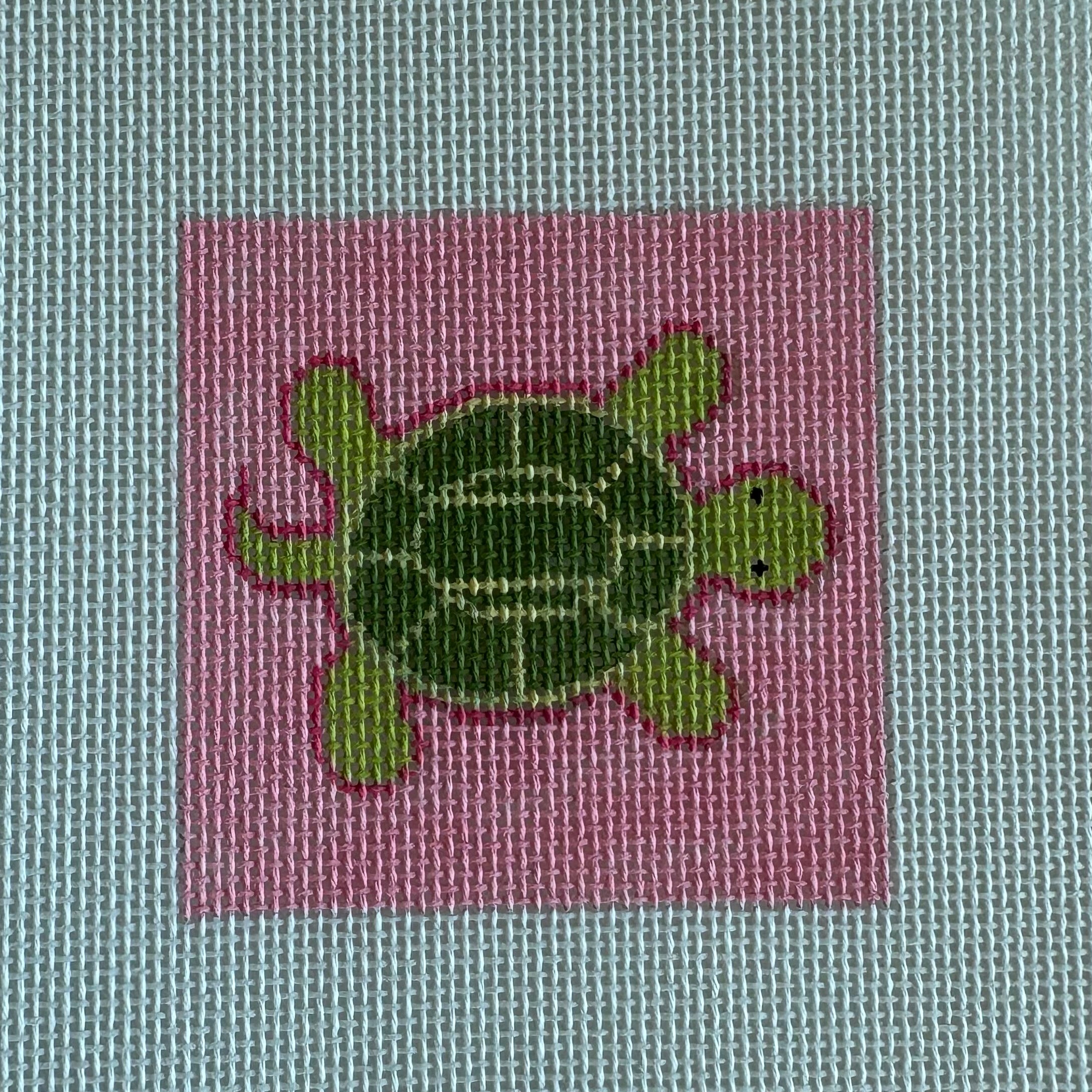 Turtle on hot pink mini