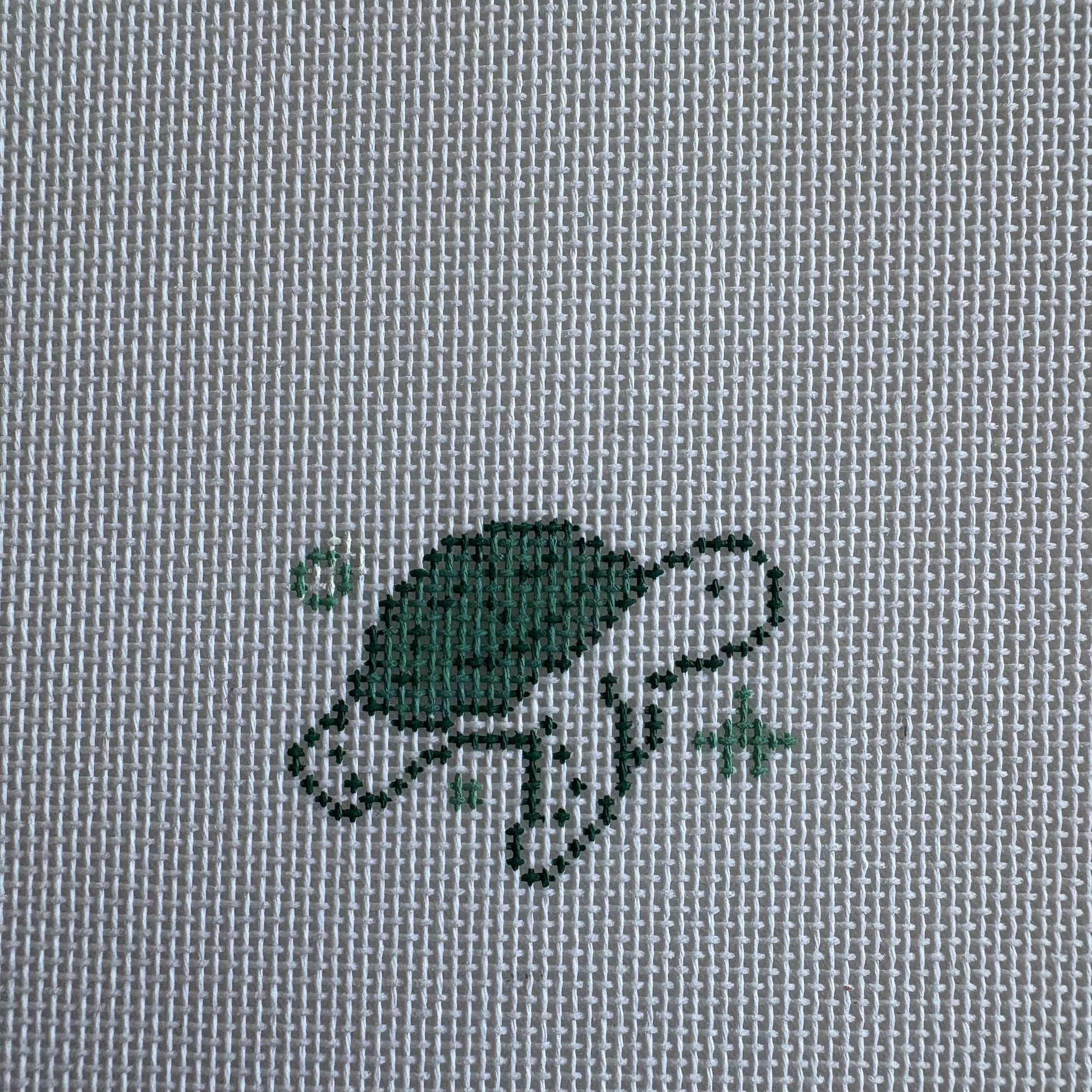 Green Turtle