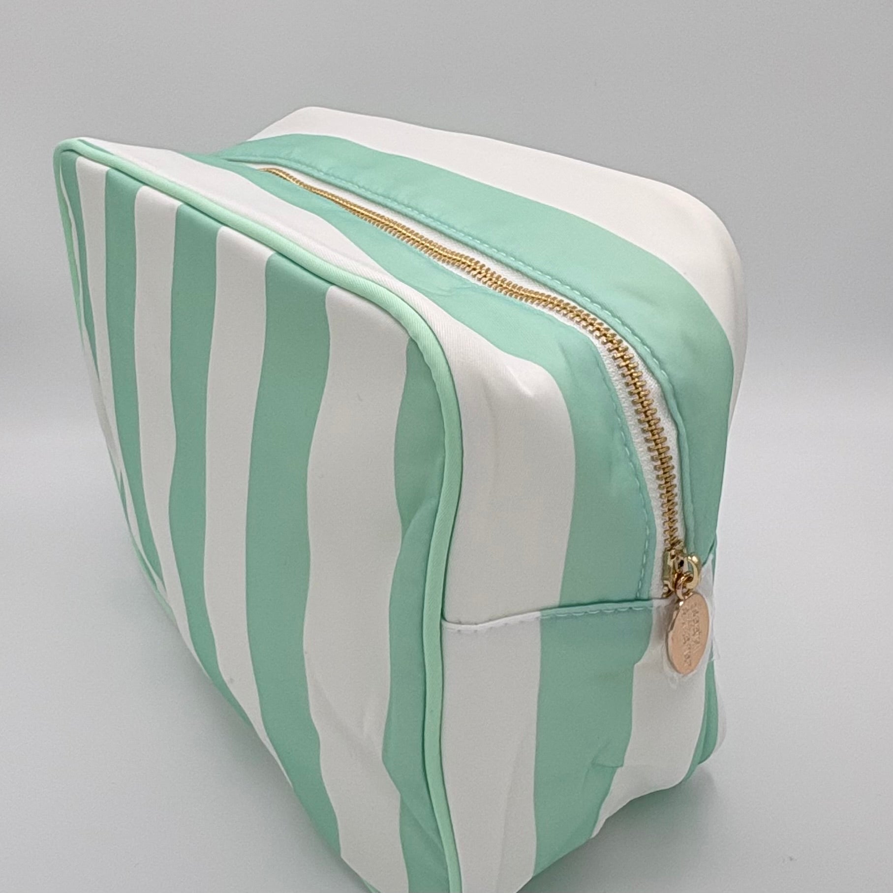 Project Bag - Mint/white stripe