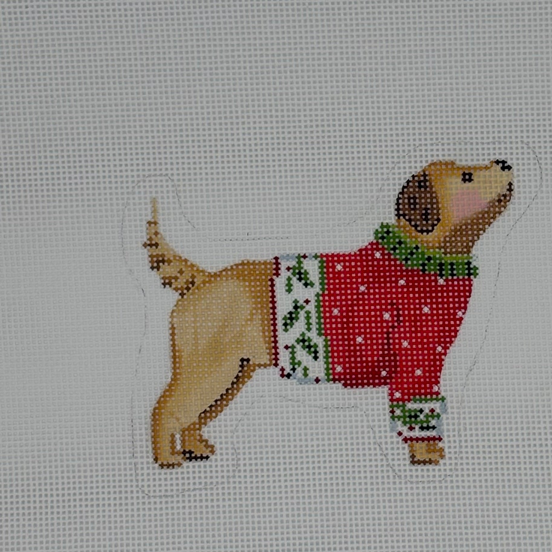 Yellow dog with red sweater
