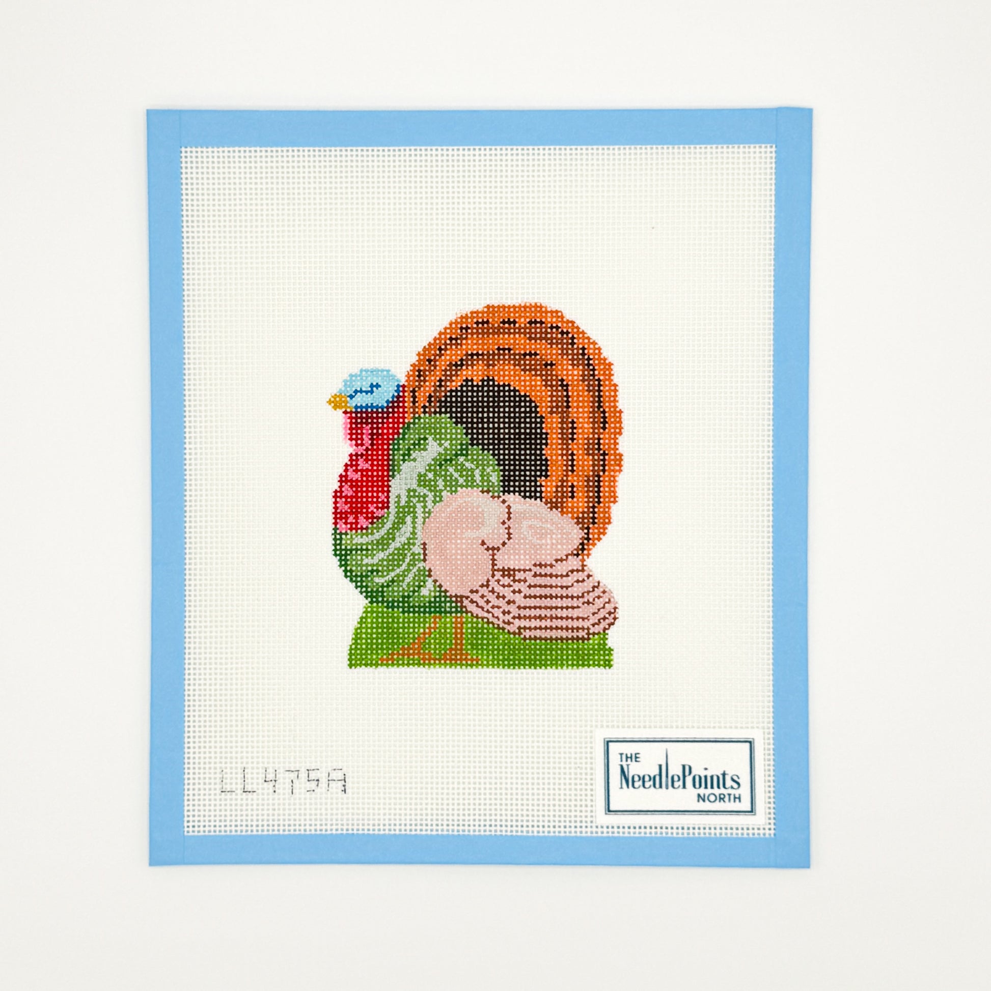 Turkey - Orange tail feathers