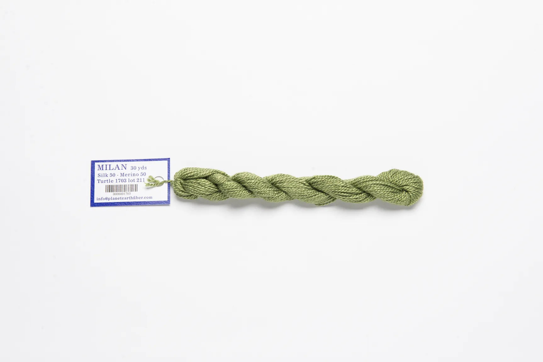 Milan Skein Turtle