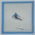 Carving Turns
