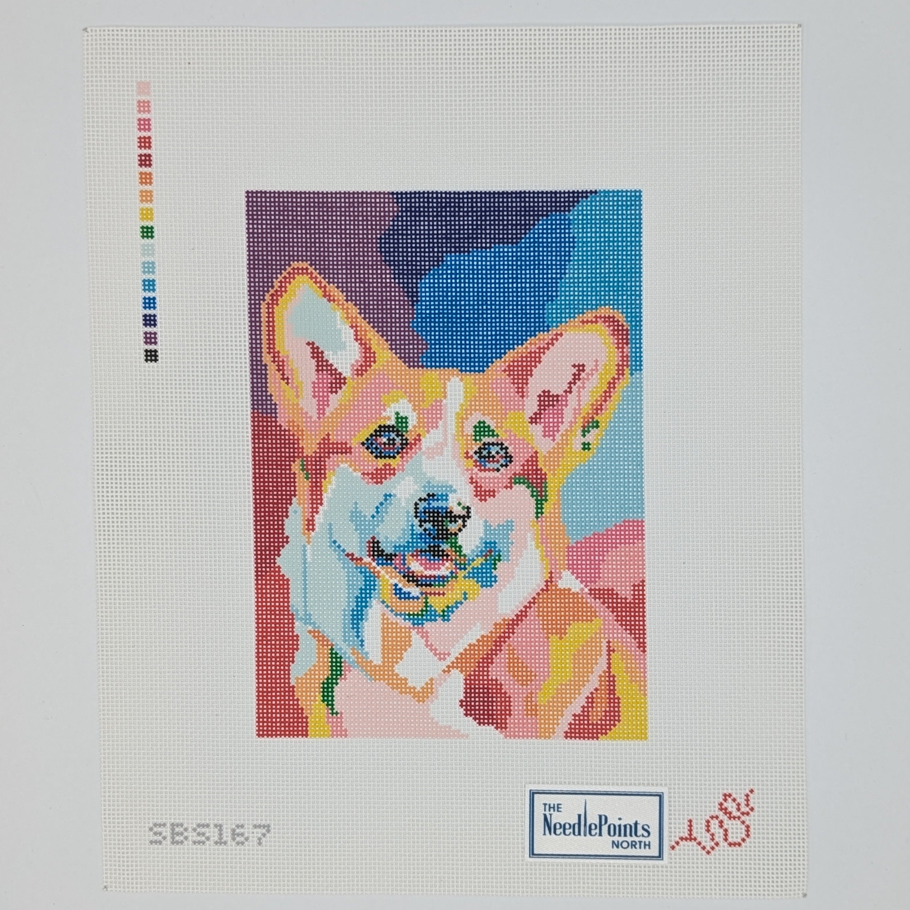 Corgi Pet Portrait