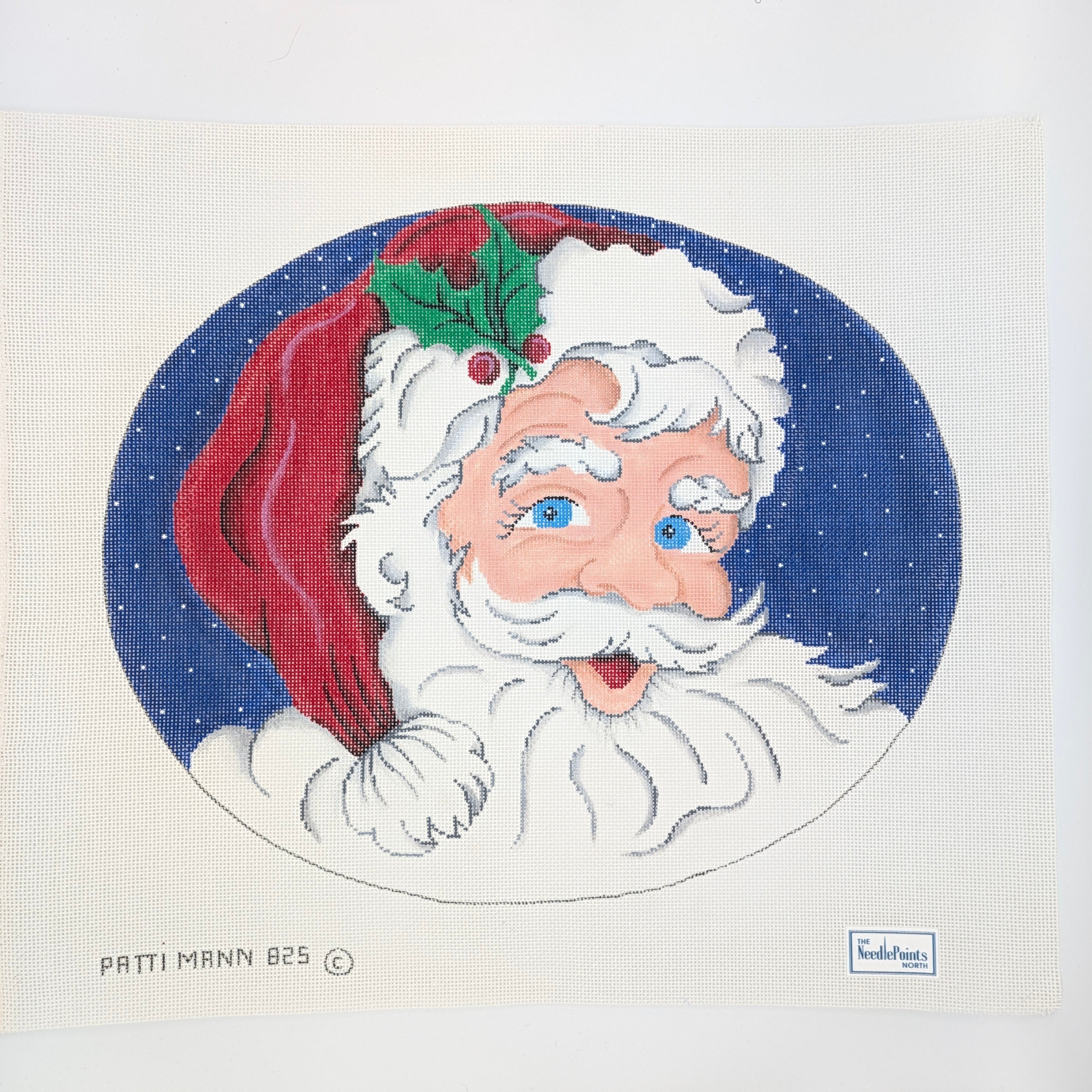 Santa's Portrait