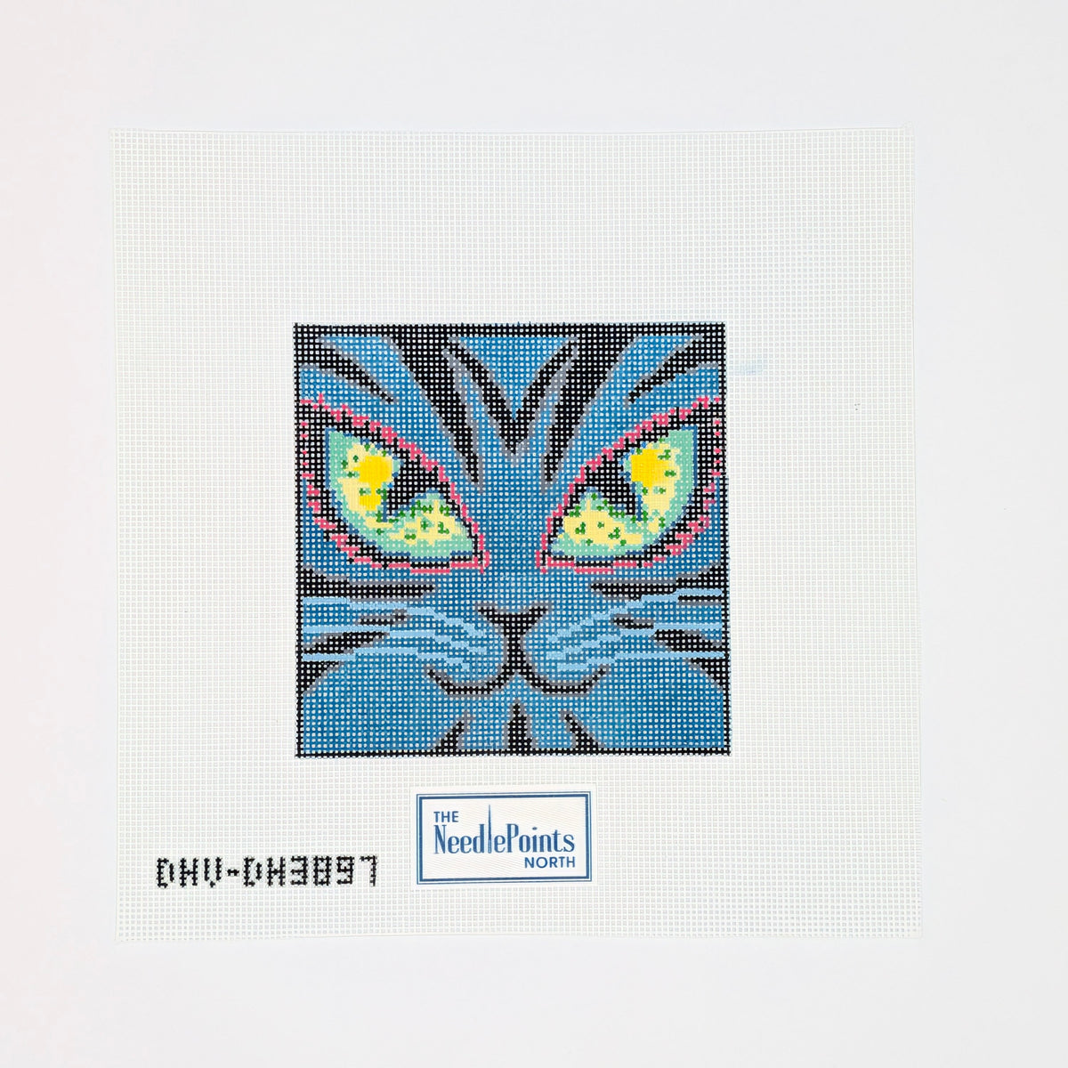 Midnite The Cat