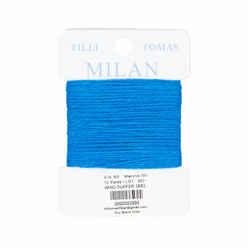 Milan Cards Wind Surfer